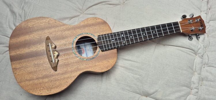 Ukulele als Leihinstrument
